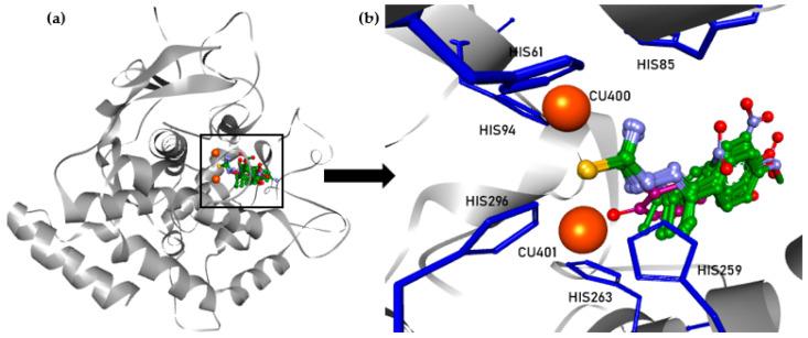 https://cdn.ncbi.nlm.nih.gov/pmc/blobs/6ad7/7831505/f5d7b12d0690/pharmaceuticals-14-00074-g005.jpg