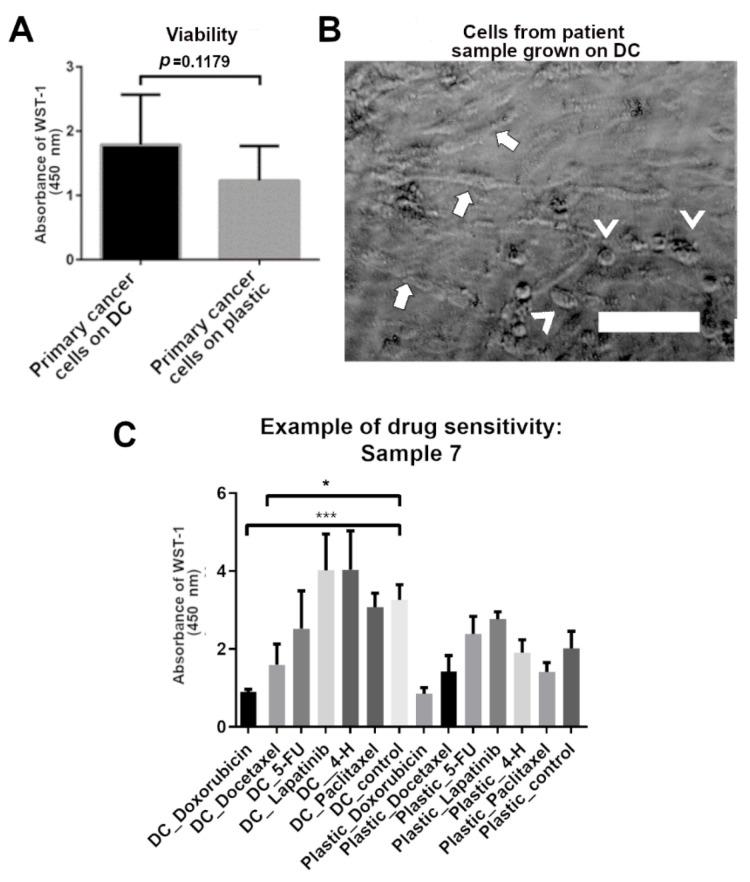 https://cdn.ncbi.nlm.nih.gov/pmc/blobs/6ad7/8869401/c36b72285e81/biomedicines-10-00271-g004.jpg