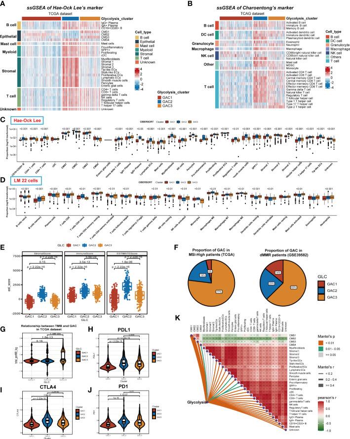 https://cdn.ncbi.nlm.nih.gov/pmc/blobs/6ad9/10203873/6b26e8bf8df0/fimmu-14-1181985-g006.jpg