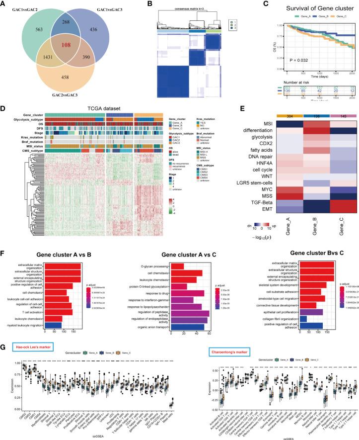 https://cdn.ncbi.nlm.nih.gov/pmc/blobs/6ad9/10203873/8a54c76b4c20/fimmu-14-1181985-g007.jpg