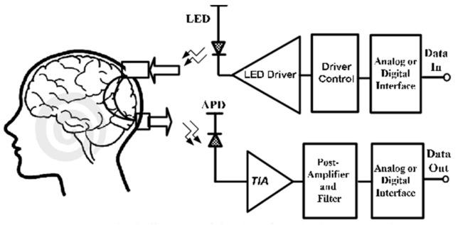 https://cdn.ncbi.nlm.nih.gov/pmc/blobs/6ad9/8534036/648429118858/biosensors-11-00389-g011.jpg