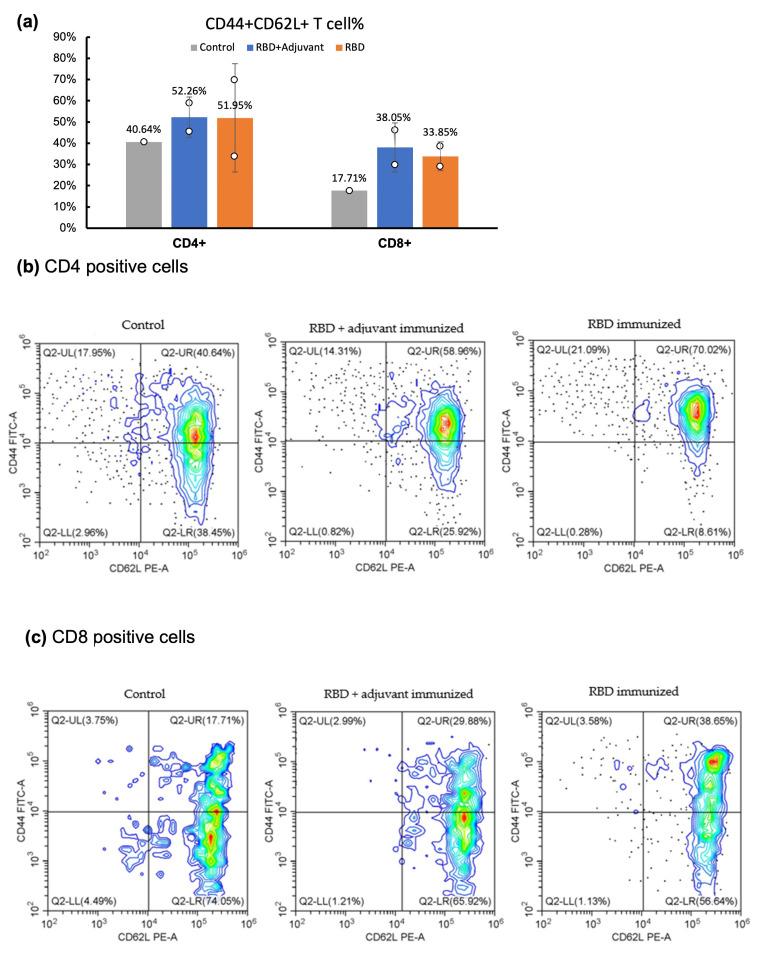 https://cdn.ncbi.nlm.nih.gov/pmc/blobs/6ada/11173568/0458f768a87b/molecules-29-02676-g003.jpg