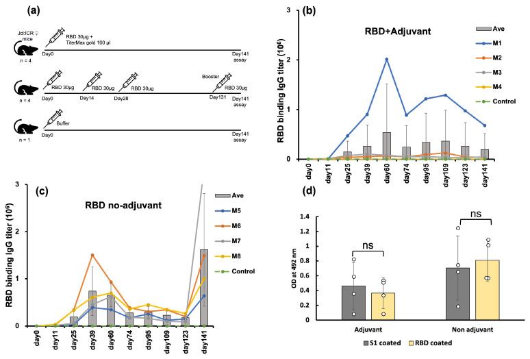 https://cdn.ncbi.nlm.nih.gov/pmc/blobs/6ada/11173568/e1d080657657/molecules-29-02676-g002.jpg