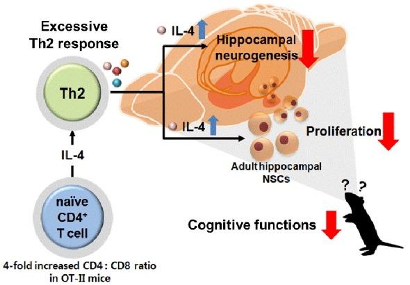 https://cdn.ncbi.nlm.nih.gov/pmc/blobs/6ada/4990752/87c6c09a0232/molce-39-8-603f6.jpg