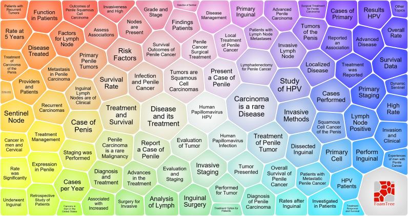 https://cdn.ncbi.nlm.nih.gov/pmc/blobs/6adb/9853168/1c3830d4d4bc/fonc-12-1091816-g010.jpg