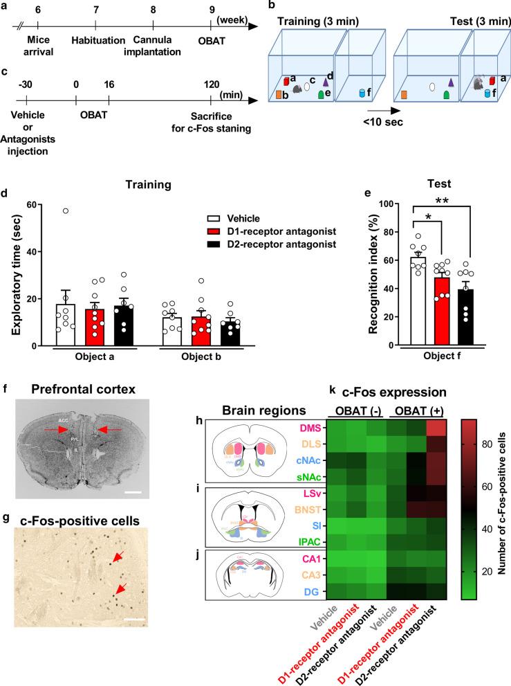 https://cdn.ncbi.nlm.nih.gov/pmc/blobs/6add/7916264/1cf5b13058e6/13041_2021_760_Fig1_HTML.jpg