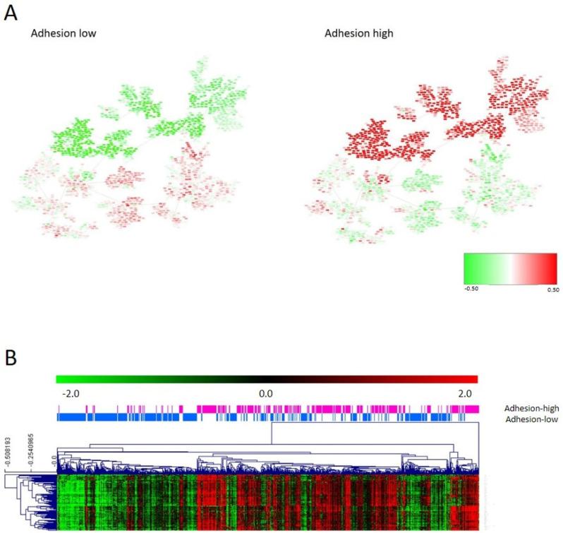 https://cdn.ncbi.nlm.nih.gov/pmc/blobs/6add/9953902/8bb0a9f95494/cancers-15-01104-g002.jpg