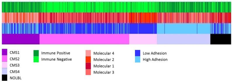 https://cdn.ncbi.nlm.nih.gov/pmc/blobs/6add/9953902/910fc353a353/cancers-15-01104-g007.jpg