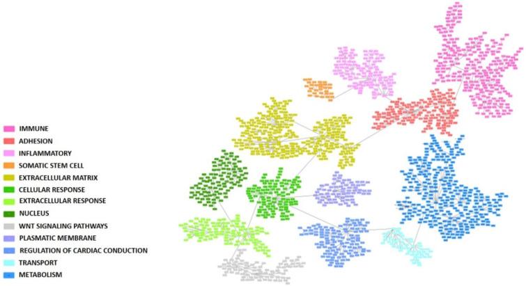 https://cdn.ncbi.nlm.nih.gov/pmc/blobs/6add/9953902/fae690fb1b5a/cancers-15-01104-g001.jpg