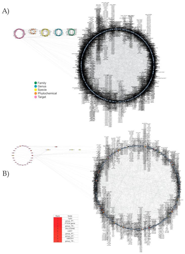 https://cdn.ncbi.nlm.nih.gov/pmc/blobs/6ade/10669844/1a9c91511a24/biomolecules-13-01673-g006.jpg