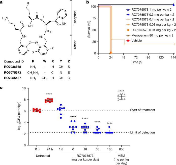 https://cdn.ncbi.nlm.nih.gov/pmc/blobs/6adf/10794144/52df846ca220/41586_2023_6873_Fig1_HTML.jpg
