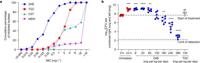 https://cdn.ncbi.nlm.nih.gov/pmc/blobs/6adf/10794144/9f4ad1b35480/41586_2023_6873_Fig4_HTML.jpg