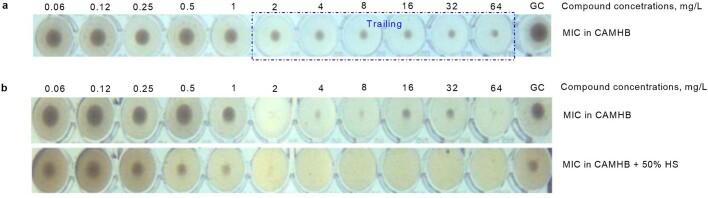 https://cdn.ncbi.nlm.nih.gov/pmc/blobs/6adf/10794144/cd6d87caa82c/41586_2023_6873_Fig5_ESM.jpg