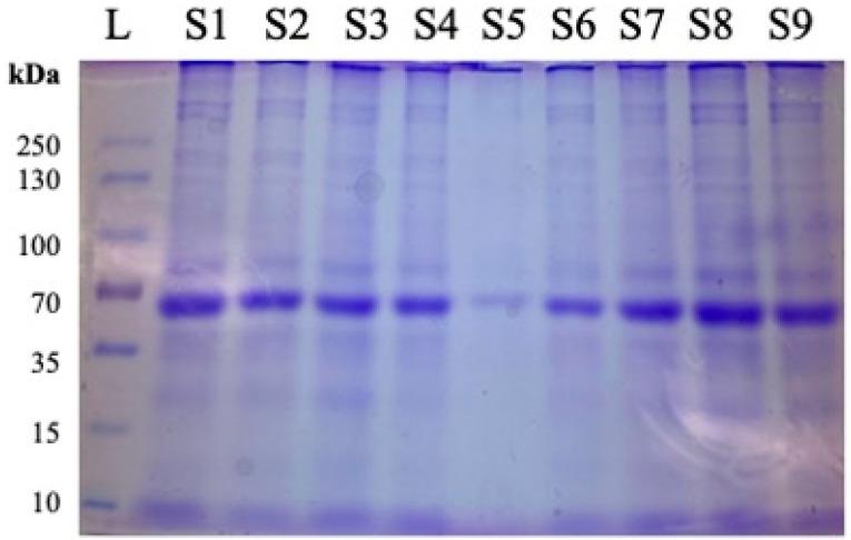 https://cdn.ncbi.nlm.nih.gov/pmc/blobs/6adf/12026319/36035431ea80/cimb-47-00218-g001.jpg