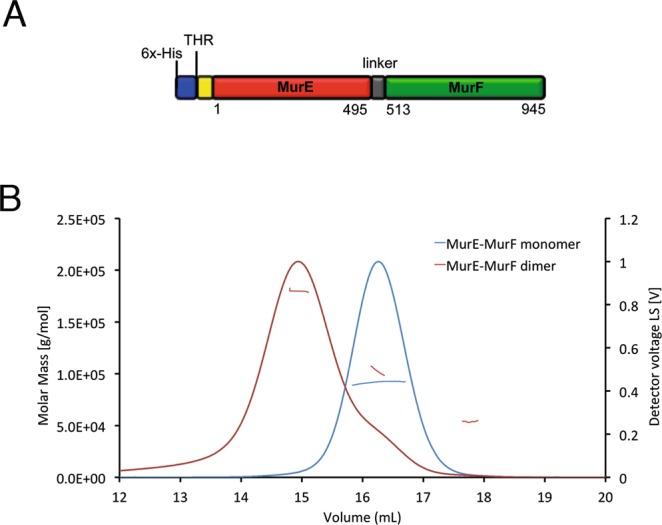 https://cdn.ncbi.nlm.nih.gov/pmc/blobs/6ae3/6420597/5c3b4e075711/41598_2019_40966_Fig5_HTML.jpg