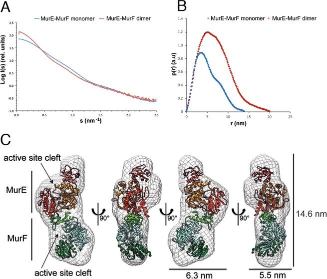 https://cdn.ncbi.nlm.nih.gov/pmc/blobs/6ae3/6420597/f69d735d697a/41598_2019_40966_Fig7_HTML.jpg