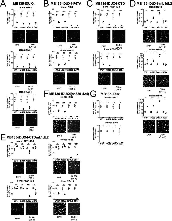 https://cdn.ncbi.nlm.nih.gov/pmc/blobs/6ae4/10195082/3d54be9c0465/elife-82057-fig1-figsupp2.jpg
