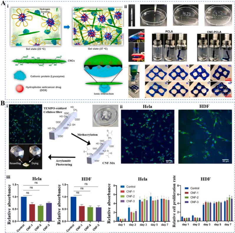 https://cdn.ncbi.nlm.nih.gov/pmc/blobs/6ae4/12098173/303181b53496/gr2.jpg