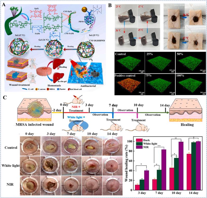 https://cdn.ncbi.nlm.nih.gov/pmc/blobs/6ae4/12098173/eb10cbf8fcd0/gr10.jpg
