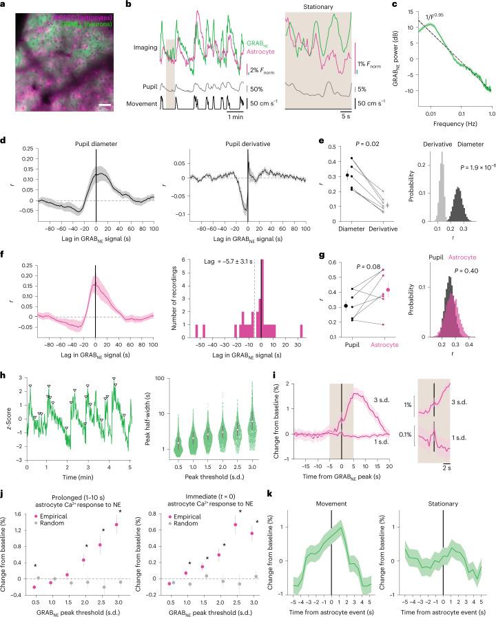 https://cdn.ncbi.nlm.nih.gov/pmc/blobs/6ae5/10089924/1bd9136fb76e/41593_2023_1284_Fig2_HTML.jpg