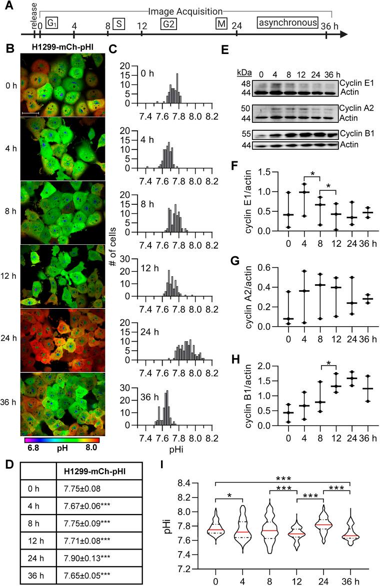 https://cdn.ncbi.nlm.nih.gov/pmc/blobs/6ae5/10281514/1d2f88a2ad0d/joces-136-260458-g2.jpg