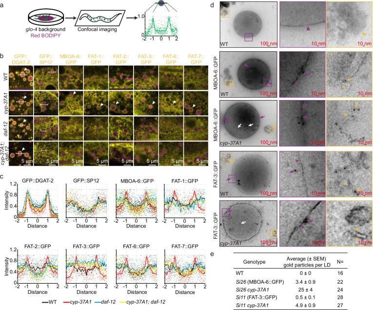 https://cdn.ncbi.nlm.nih.gov/pmc/blobs/6ae5/12034805/674802095925/41467_2025_59256_Fig3_HTML.jpg