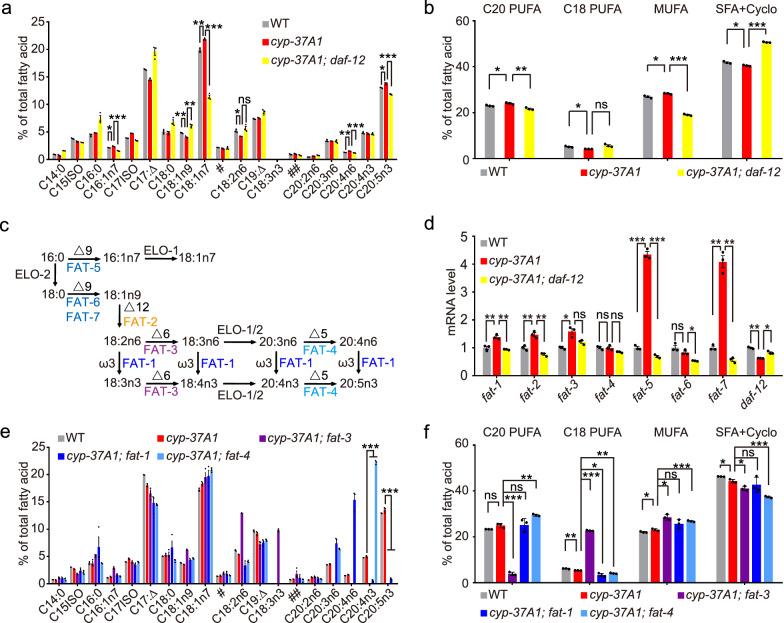 https://cdn.ncbi.nlm.nih.gov/pmc/blobs/6ae5/12034805/e49bf3eda953/41467_2025_59256_Fig1_HTML.jpg