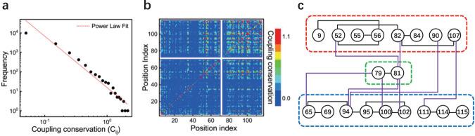 https://cdn.ncbi.nlm.nih.gov/pmc/blobs/6ae6/10794238/e3a8b418b755/42004_2024_1098_Fig3_HTML.jpg