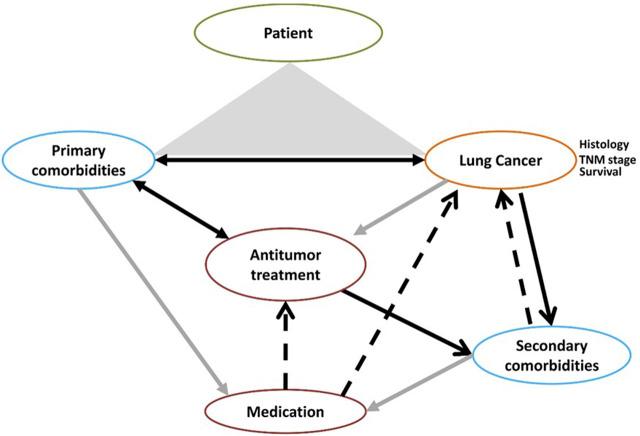 https://cdn.ncbi.nlm.nih.gov/pmc/blobs/6ae7/10916800/9740c5749a40/fphar-14-1016976-g001.jpg