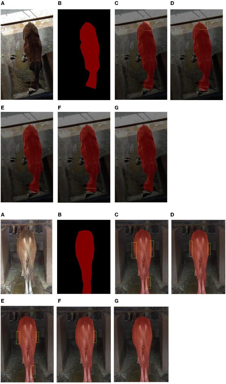 https://cdn.ncbi.nlm.nih.gov/pmc/blobs/6ae8/10859394/07eab040f927/frai-07-1299169-g0005.jpg