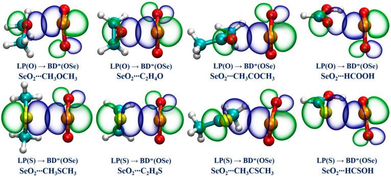 https://cdn.ncbi.nlm.nih.gov/pmc/blobs/6aee/11171880/1925223bdc1e/ijms-25-05609-g005.jpg