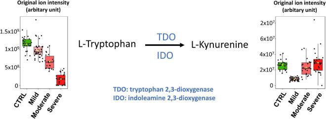 https://cdn.ncbi.nlm.nih.gov/pmc/blobs/6aef/9556858/56f8cfc1af24/fmed-09-995069-g006.jpg