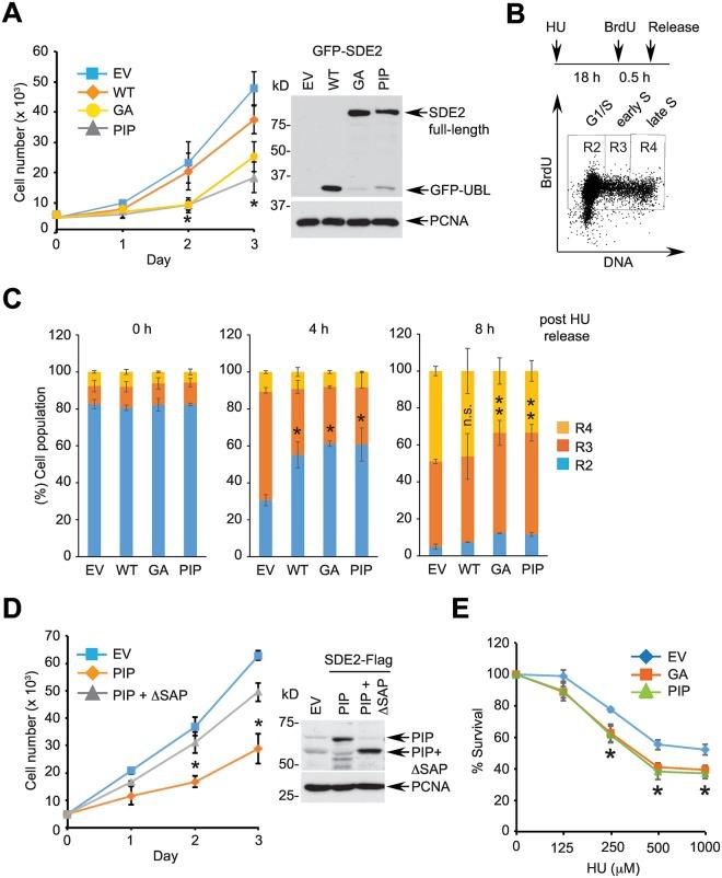 https://cdn.ncbi.nlm.nih.gov/pmc/blobs/6af0/5131917/bf10ae0fa0a5/pgen.1006465.g006.jpg