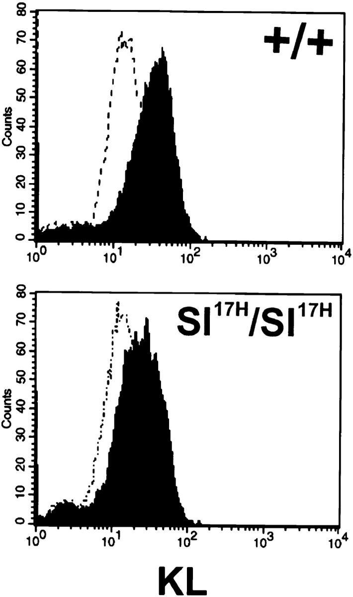 https://cdn.ncbi.nlm.nih.gov/pmc/blobs/6af2/2212272/fcf3f9b46ddd/JEM972056.f3.jpg