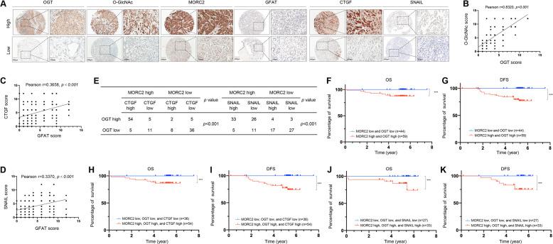 https://cdn.ncbi.nlm.nih.gov/pmc/blobs/6af3/8991186/ef4f2fff7c78/41418_2021_901_Fig7_HTML.jpg