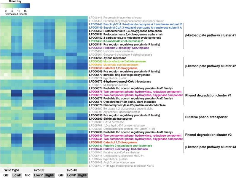 https://cdn.ncbi.nlm.nih.gov/pmc/blobs/6af4/4797299/8c023d78c775/gkw055fig3.jpg