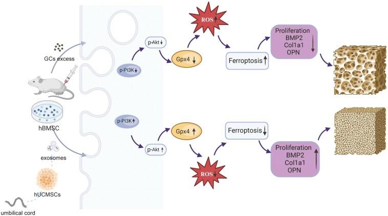 https://cdn.ncbi.nlm.nih.gov/pmc/blobs/6af5/12010878/d323051ea663/szae096_fig8.jpg