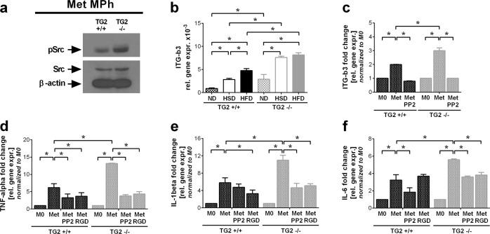 https://cdn.ncbi.nlm.nih.gov/pmc/blobs/6af8/6549190/4cda1badd11e/41419_2019_1677_Fig4_HTML.jpg