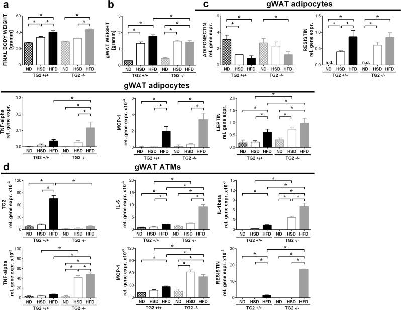 https://cdn.ncbi.nlm.nih.gov/pmc/blobs/6af8/6549190/db9cccfe97fa/41419_2019_1677_Fig1_HTML.jpg