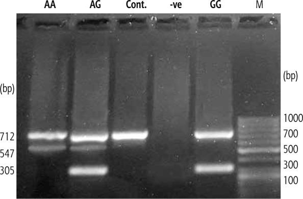 https://cdn.ncbi.nlm.nih.gov/pmc/blobs/6af9/10369660/449b8aa4e51a/CEH-9-50839-g001.jpg