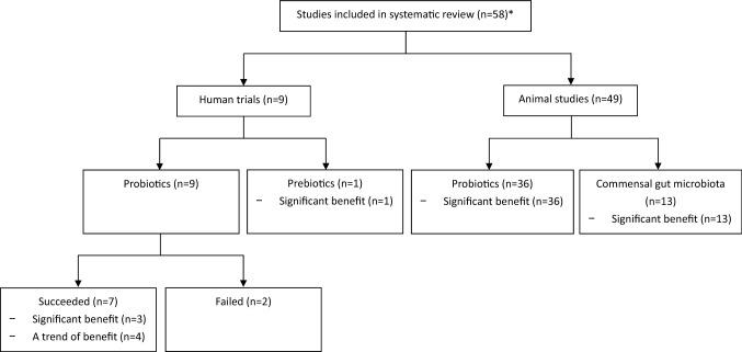 https://cdn.ncbi.nlm.nih.gov/pmc/blobs/6af9/8044287/dedbd74833c5/394_2021_2519_Fig2_HTML.jpg