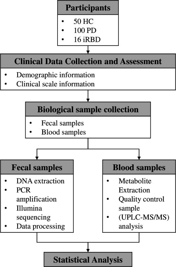 https://cdn.ncbi.nlm.nih.gov/pmc/blobs/6afc/12188741/eb4d86d3e938/msphere.00590-24.f001.jpg