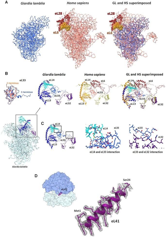 https://cdn.ncbi.nlm.nih.gov/pmc/blobs/6afd/8860606/fd78201ed188/gkac046fig3.jpg