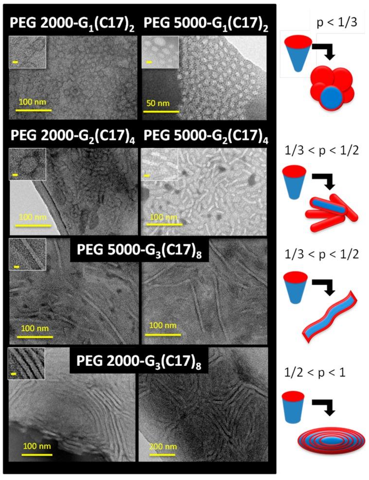 https://cdn.ncbi.nlm.nih.gov/pmc/blobs/6aff/6409548/7e3df0dcec17/nanomaterials-09-00161-g003.jpg