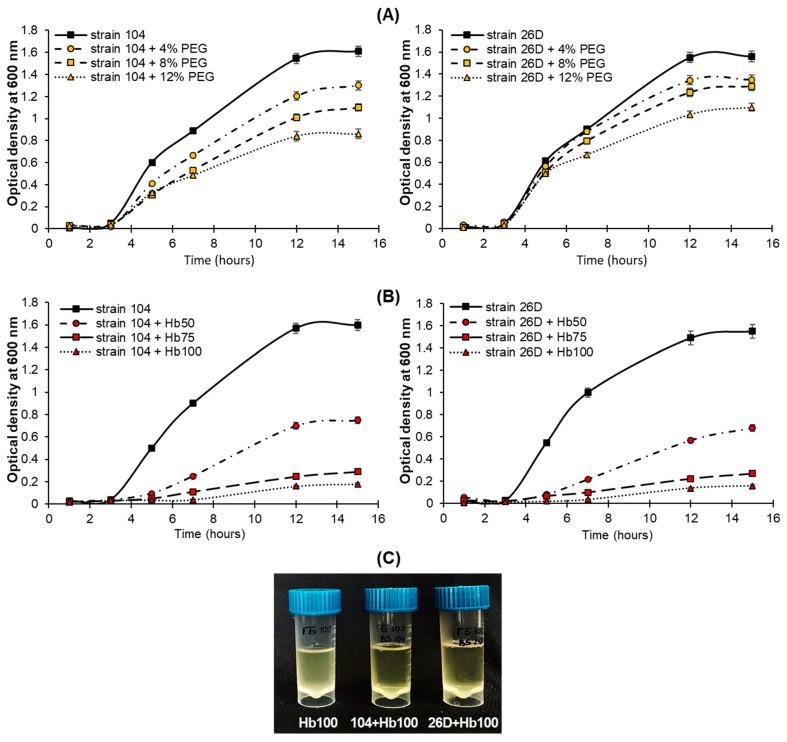https://cdn.ncbi.nlm.nih.gov/pmc/blobs/6b01/10144775/49ab0143af14/plants-12-01724-g001.jpg