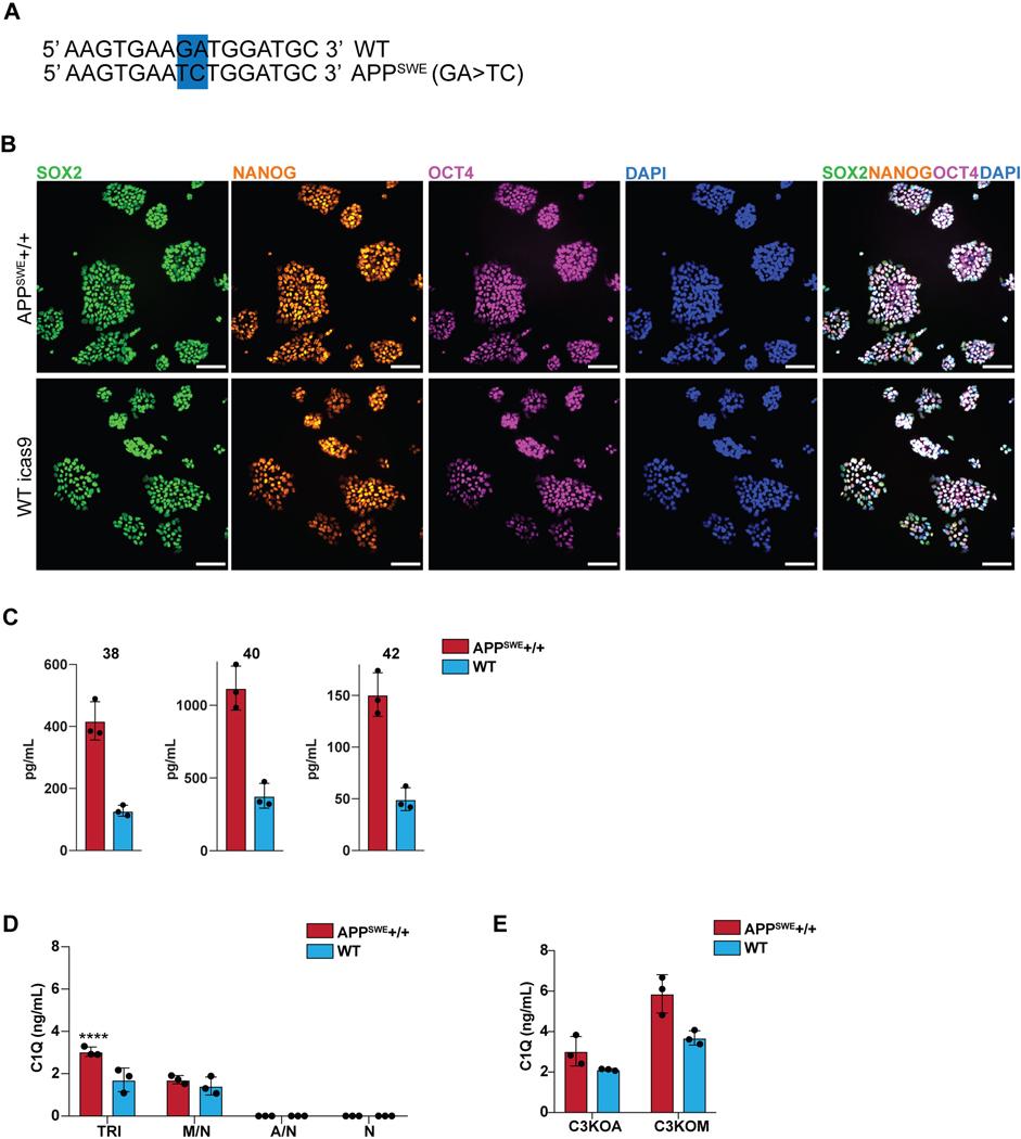 https://cdn.ncbi.nlm.nih.gov/pmc/blobs/6b02/8382543/1639ca8c2b85/nihms-1658009-f0015.jpg