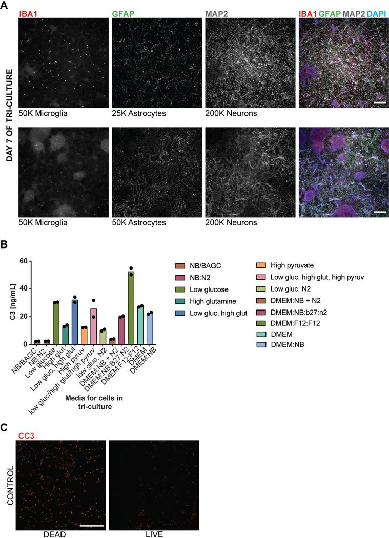 https://cdn.ncbi.nlm.nih.gov/pmc/blobs/6b02/8382543/78f71d4a3bcd/nihms-1658009-f0013.jpg