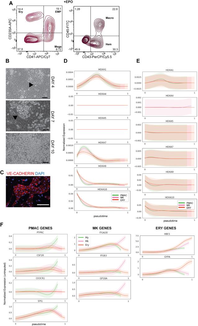 https://cdn.ncbi.nlm.nih.gov/pmc/blobs/6b02/8382543/e014ed657ead/nihms-1658009-f0006.jpg