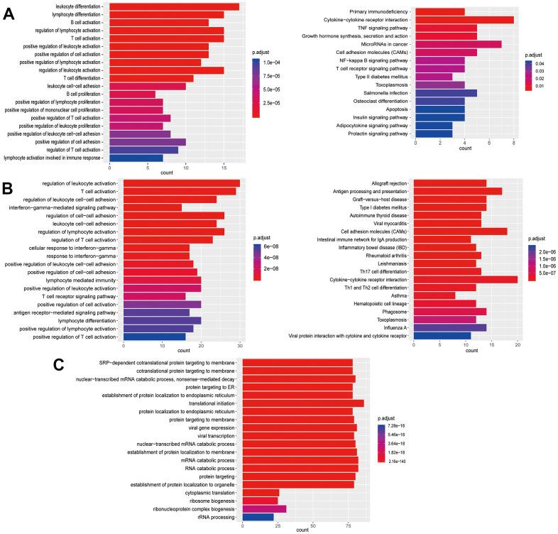https://cdn.ncbi.nlm.nih.gov/pmc/blobs/6b03/8221309/5a4c492c1fd9/aging-13-203124-g005.jpg