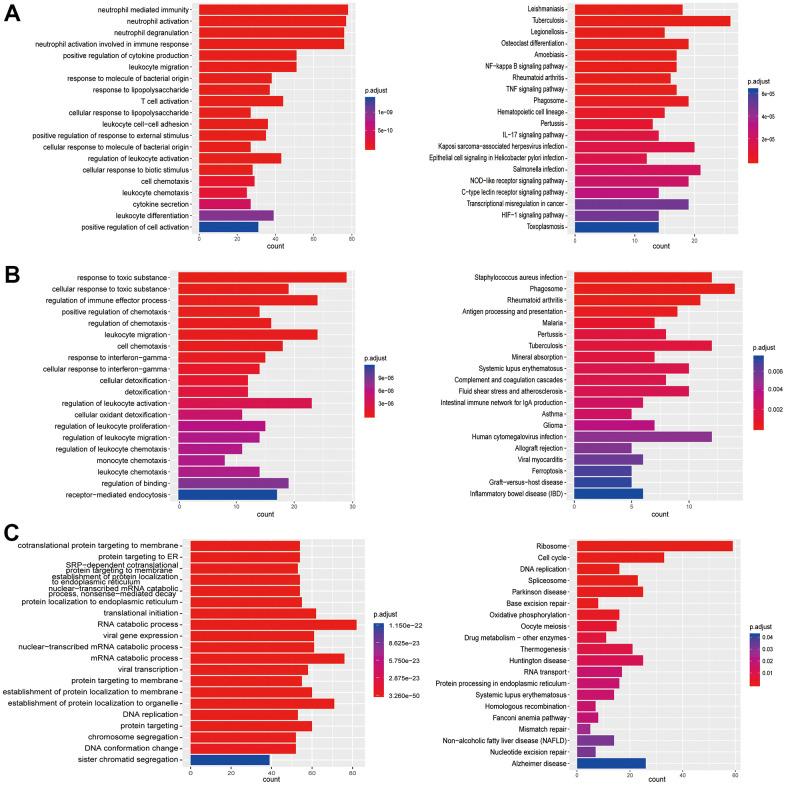 https://cdn.ncbi.nlm.nih.gov/pmc/blobs/6b03/8221309/99167008ebaa/aging-13-203124-g004.jpg